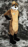 cat-days-photoshoot-60 