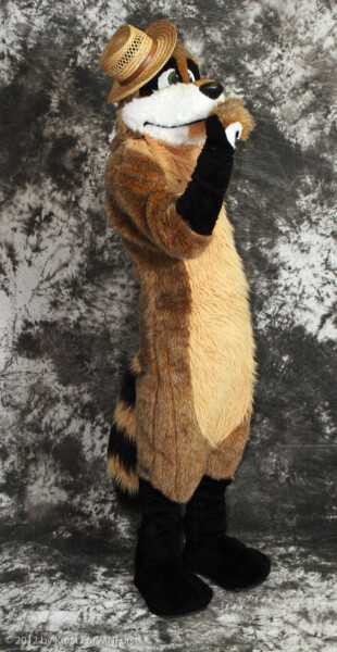 cat-days-photoshoot-61