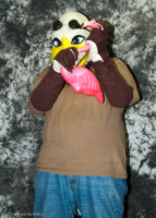 cat-days-photoshoot-72 