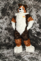 cat-days-photoshoot-93 