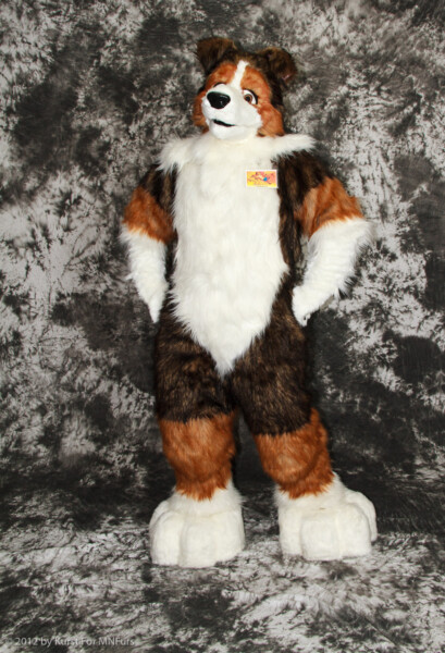 cat-days-photoshoot-93