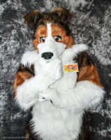 cat-days-photoshoot-94 
