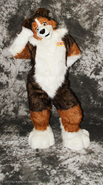 cat-days-photoshoot-95