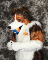 cat-days-photoshoot-96 