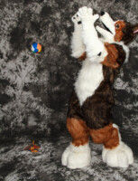 cat-days-photoshoot-98 