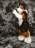 cat-days-photoshoot-99 