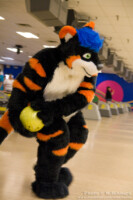 Howlie Bowling 