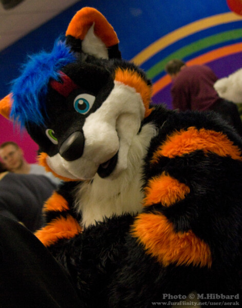 Howlie Closeup