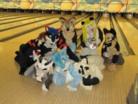 Furpile! 