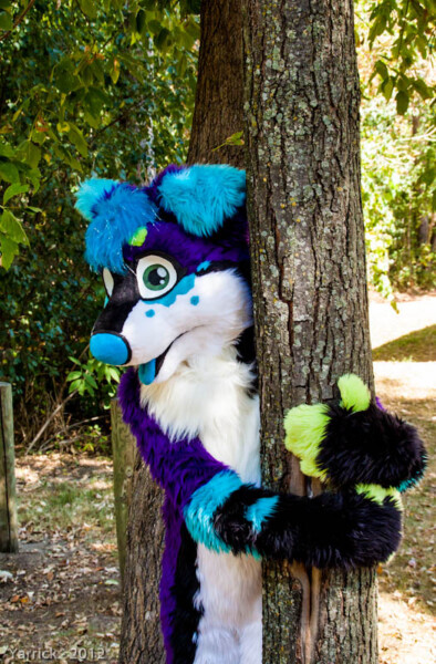 Tree Hugger