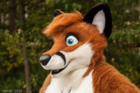 Foxeh 
