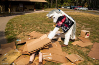 Buried Alive 