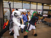 dscf0474 
