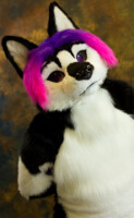 fursuit-photography-april-7-2013-037 