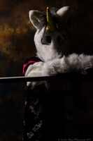 fursuit-photography-april-7-2013-104 