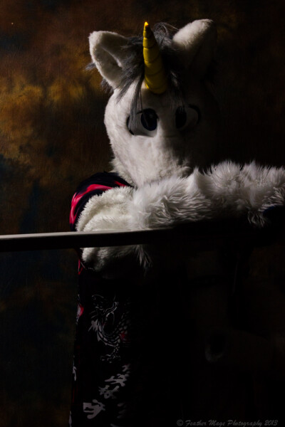 fursuit-photography-april-7-2013-104