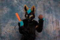 yarrickphotos10 