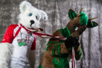 img4b 