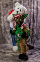 img4d 