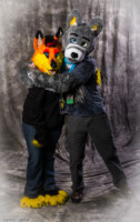 img7b 