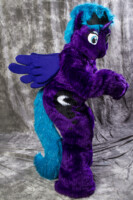 img8d 