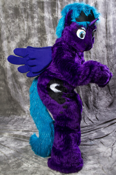 img8d