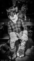 img_9648-edit 