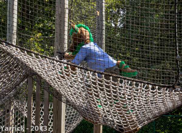 img_0047