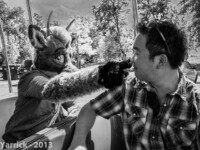 img_0205 