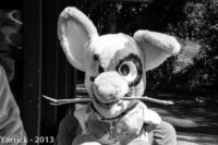 img_0222 