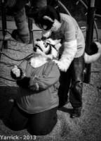 img_0339 