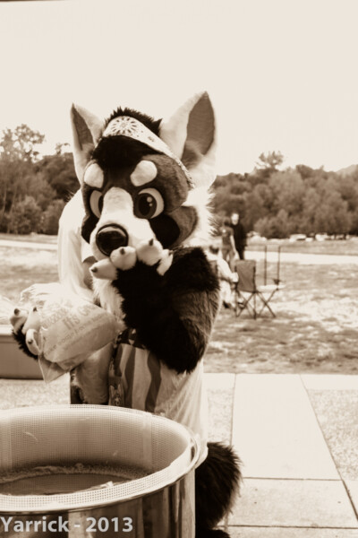 img_0982