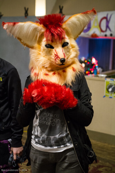 img_1539