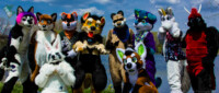 may-fursuit-photography-11-of-19 