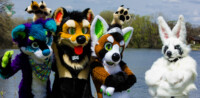 may-fursuit-photography-13-of-19 