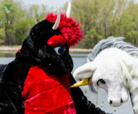 may-fursuit-photography-14-of-19 