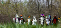 may-fursuit-photography-18-of-19 