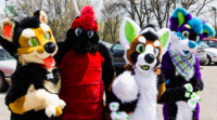 may-fursuit-photography-3-of-19 