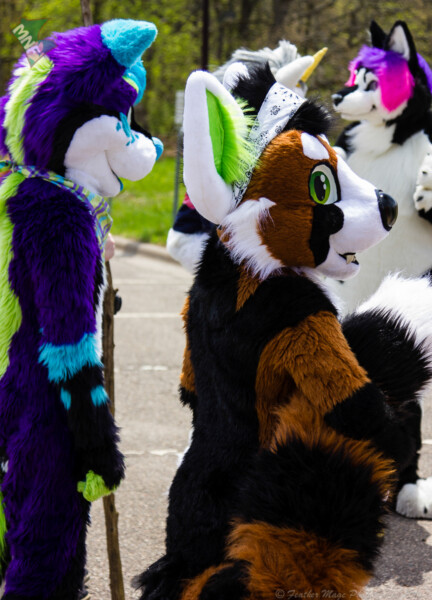 may-fursuit-photography-5-of-19