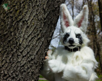 may-fursuit-photography-8-of-19 