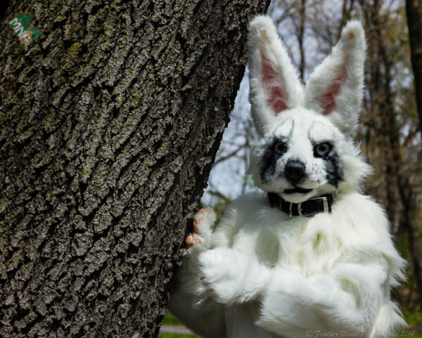 may-fursuit-photography-8-of-19