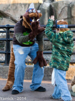 IMG_0220 