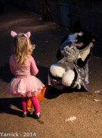 IMG_0457 