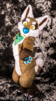 IMG_1347 