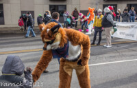 IMG_2238 