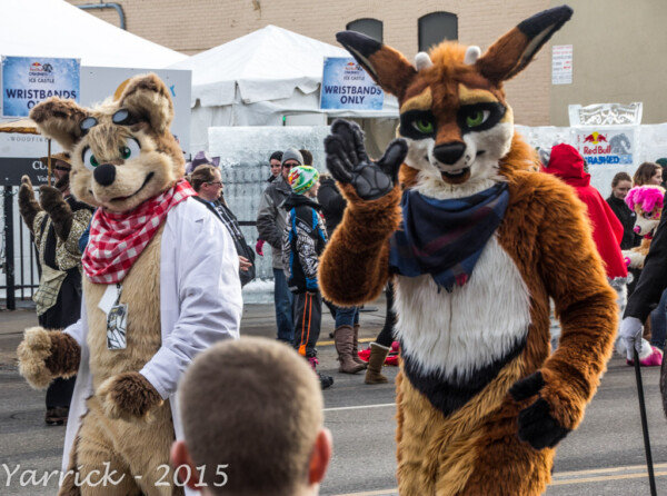 IMG_2441