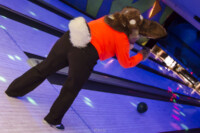 Fursuit Bowling Oct 9 2015-065 