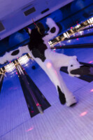 Fursuit Bowling Oct 9 2015-099 