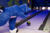 Fursuit Bowling Oct 9 2015-123 