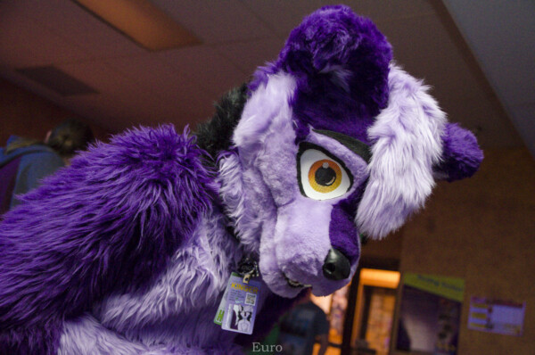 Fursuit Bowling Oct 9 2015-130